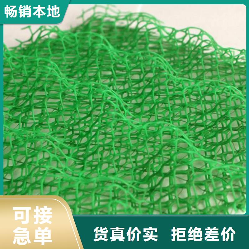 三维土工网垫价格信息-三维土工网垫生产厂家