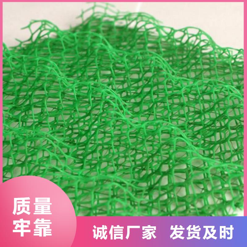 三维植被网规格型号_全国供应