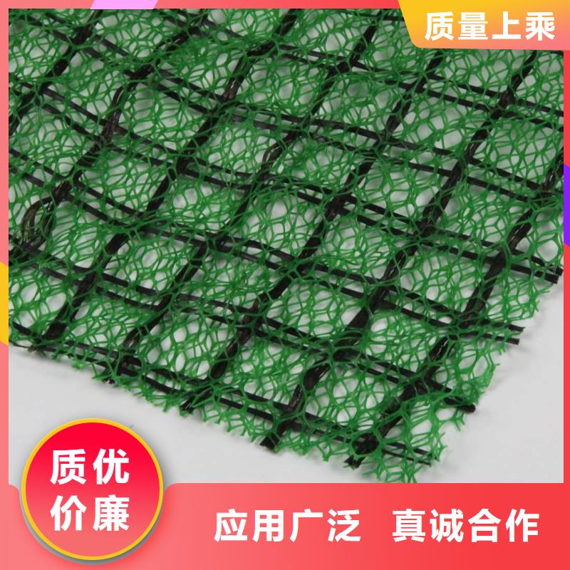 济源市三维土工网垫价格信息-三维土工网垫生产厂家