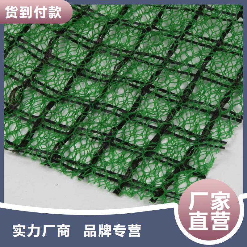 三维植被网_高性价比三维植被网_选择亿路通新材料