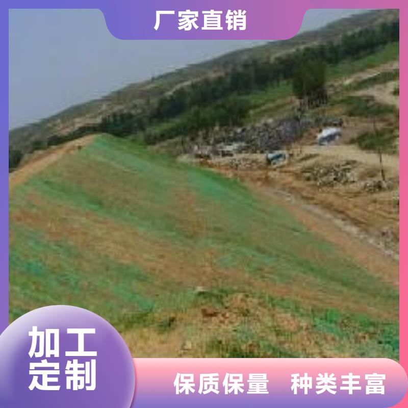 护坡种草三维植被网生产厂家收费标准