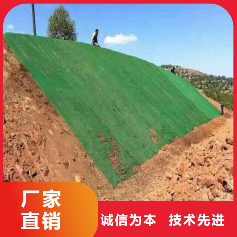 三维植被网厂家_规格齐全