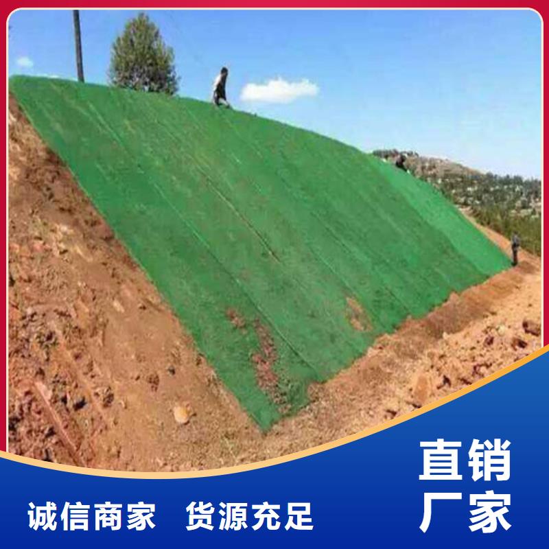 三维植被网土工布价格质检合格发货