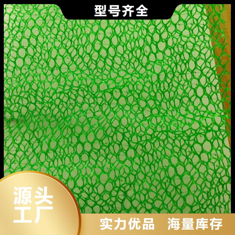 三维植被网护坡土工网货源直销