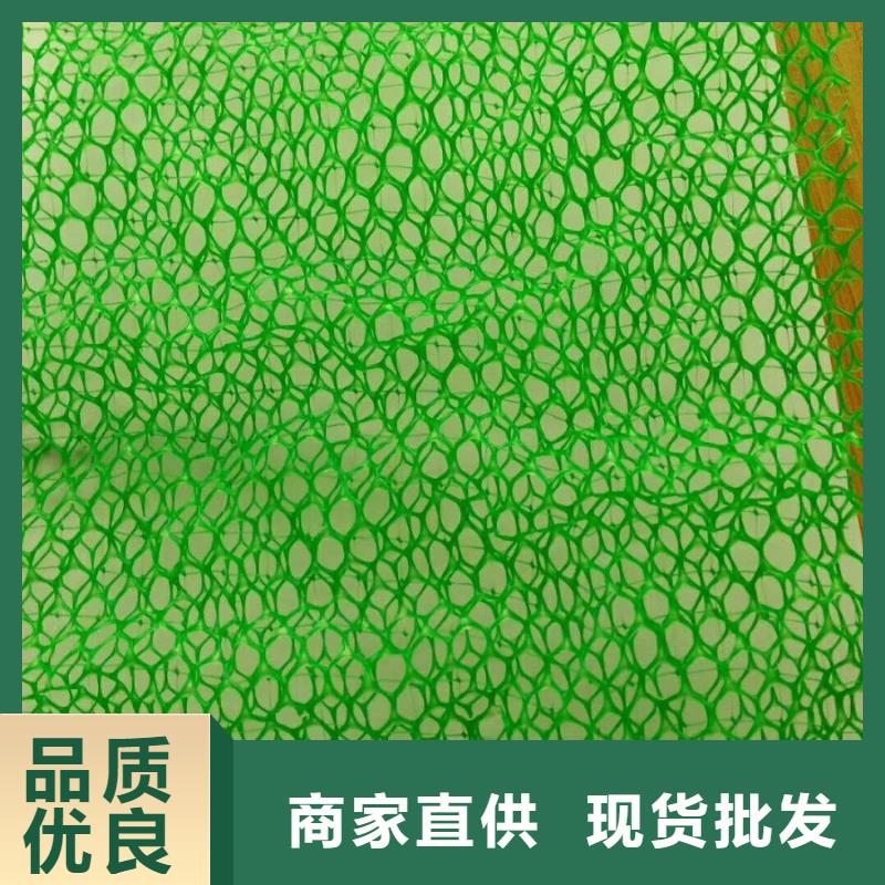 三维植被网土工布价格质检合格发货
