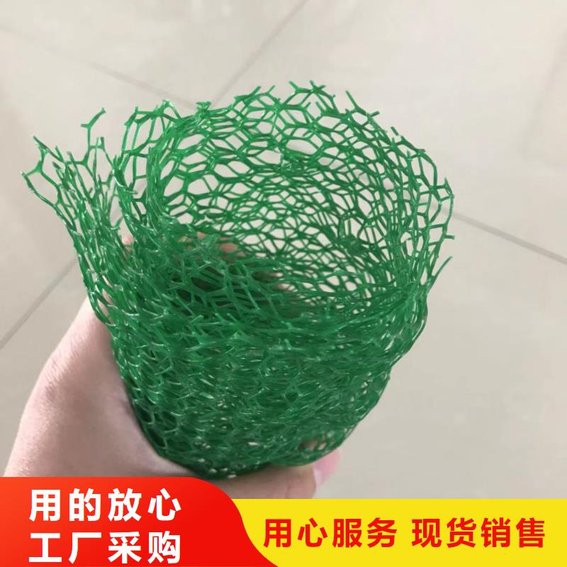 三维植被网规格型号_全国供应