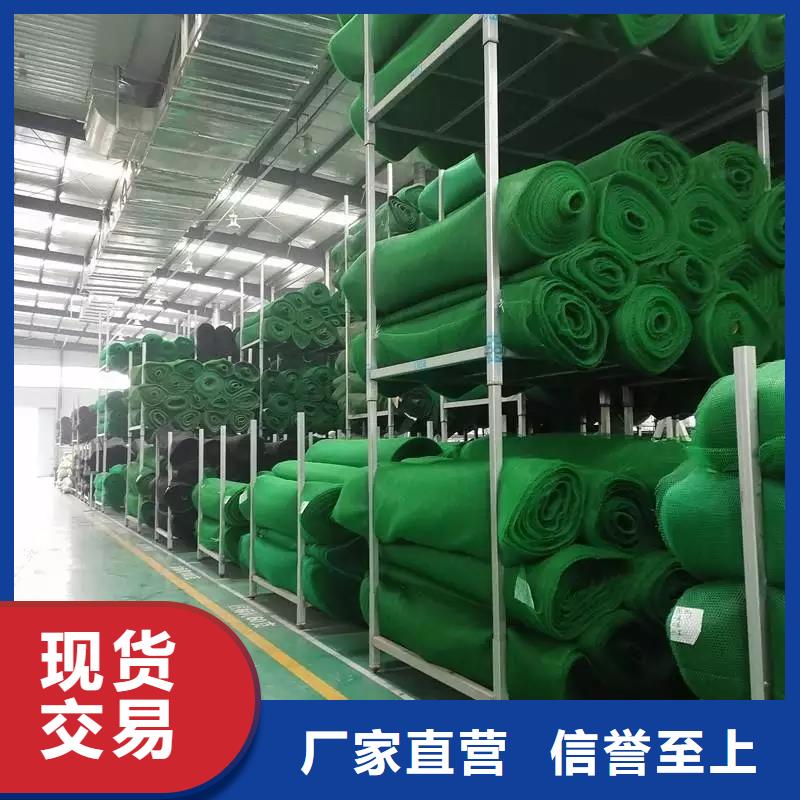 三维植被网|三维网垫植草护坡|三维土工网垫厂家哪家好?