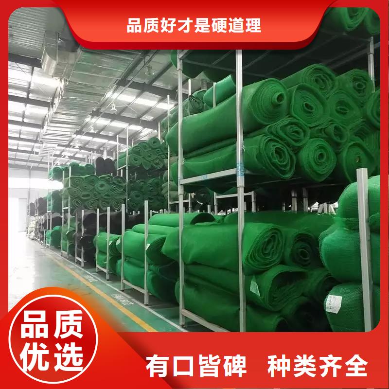 三维植被网土工布价格质检合格发货