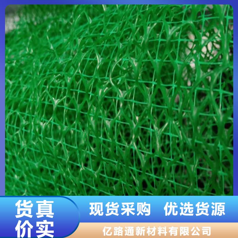 三维植被网护坡土工网货源直销