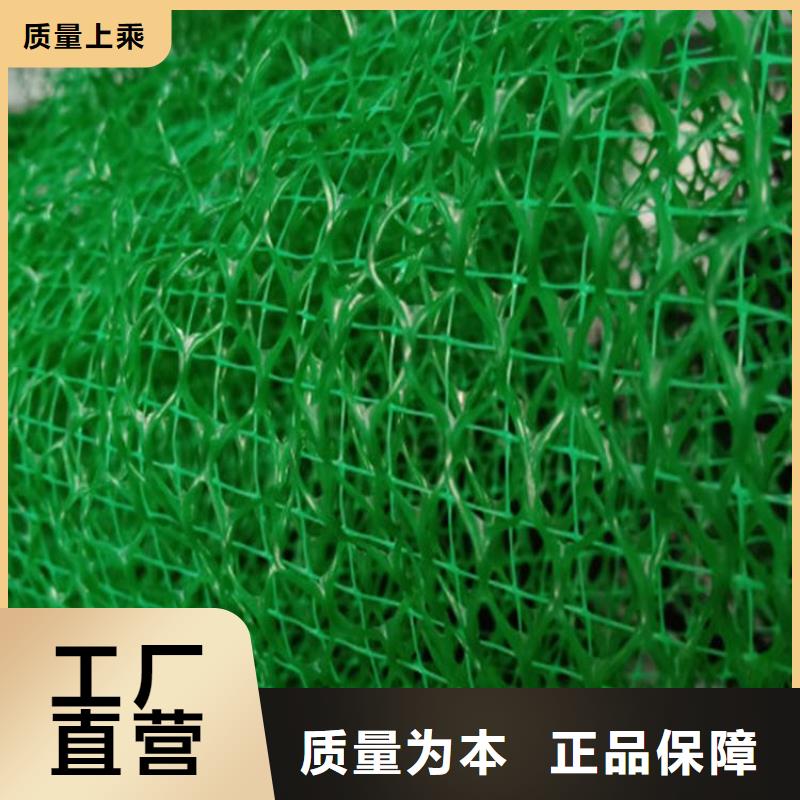 三维植被网钢塑土工格栅的简单介绍