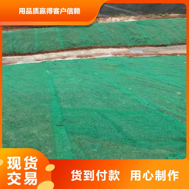 三维植被网|三维网垫植草护坡|三维土工网垫厂家哪家好?