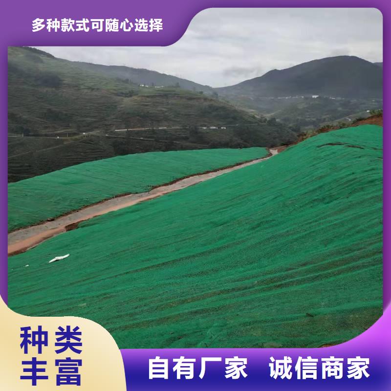 三维植被网|三维网垫植草护坡|三维土工网垫厂家哪家好?