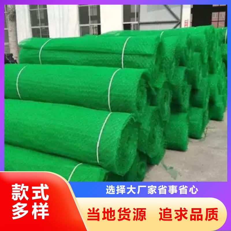 三维植被网规格型号_全国供应