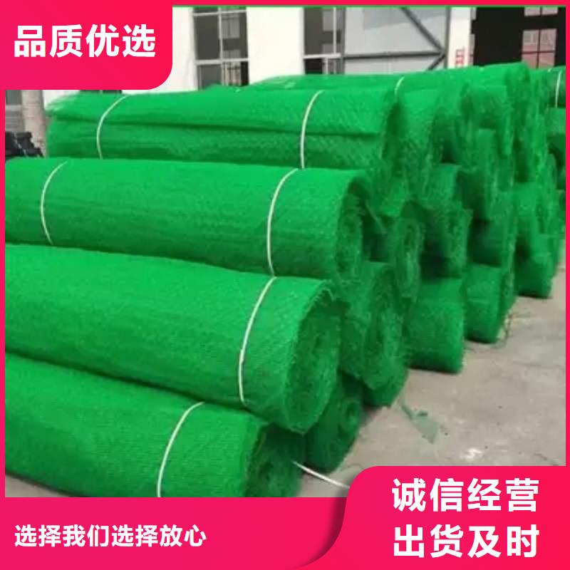 三维植被网|三维网垫植草护坡|三维土工网垫厂家哪家好?