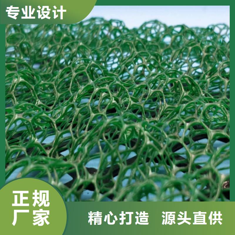 三维植被网三维水土保护毯高标准高品质