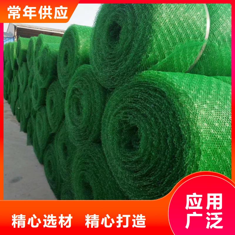三维植被网|三维网垫植草护坡|三维土工网垫厂家哪家好?