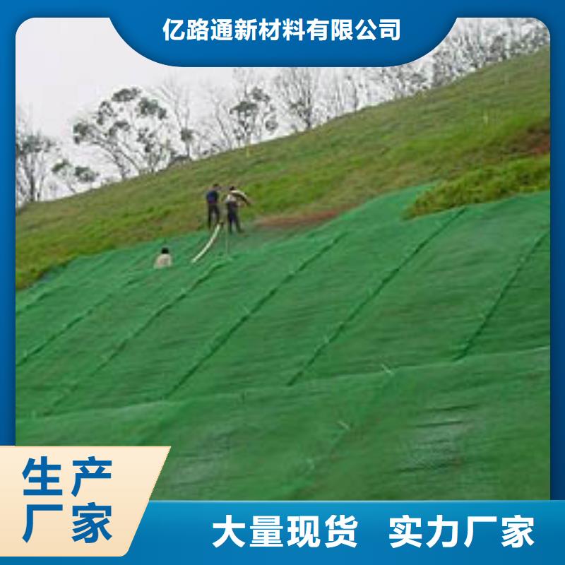 三维植被网|三维网垫植草护坡|三维土工网垫厂家哪家好?