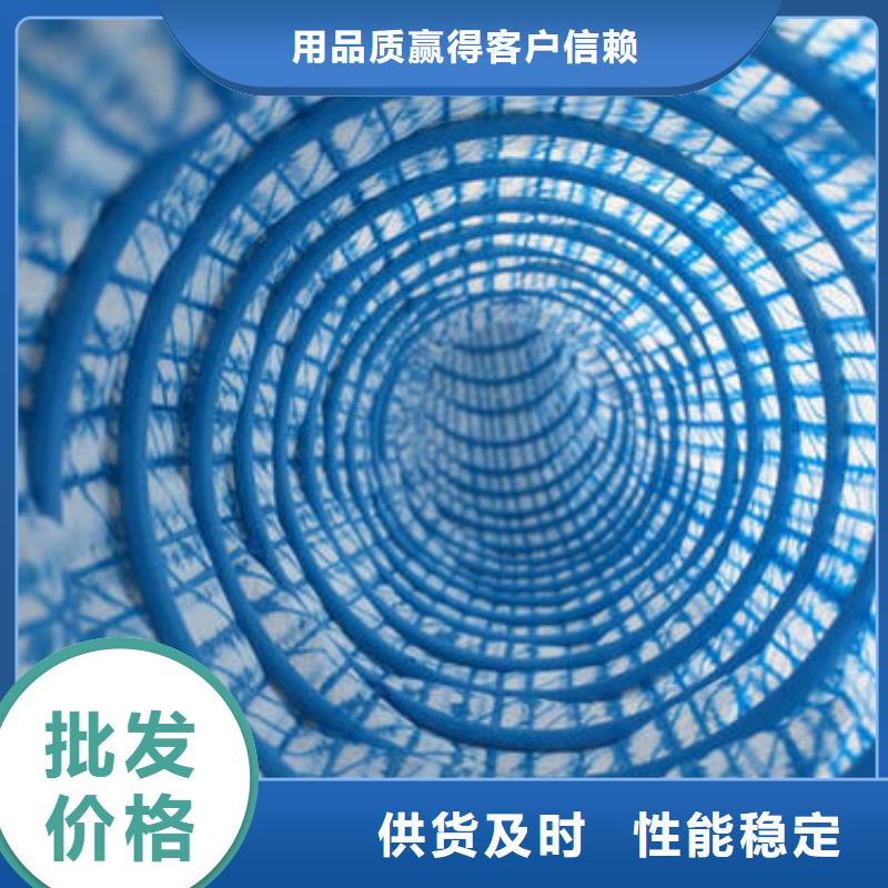 软式透水管单向塑料土工格栅讲信誉保质量