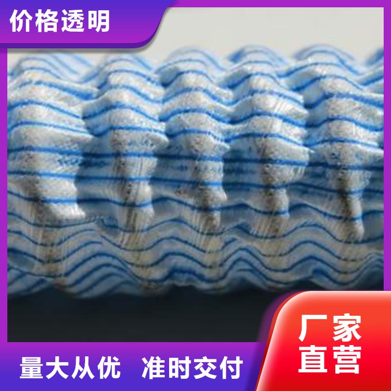 【软式透水管】复合土工膜产地货源
