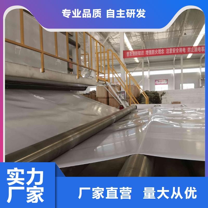 【EVA防水板三维植被网厂家好货直销】