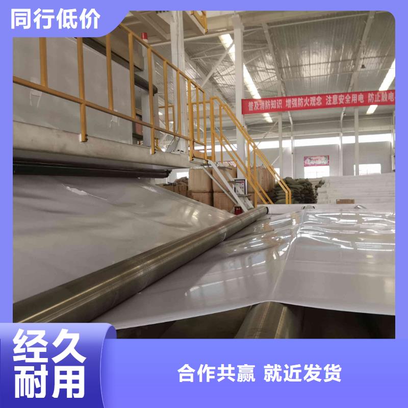【EVA防水板钢塑土工格栅厂家畅销当地】