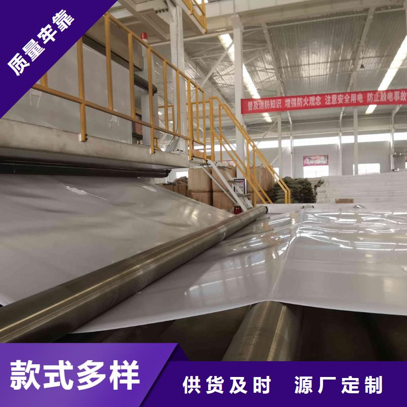 EVA防水板钢塑土工格栅满足您多种采购需求