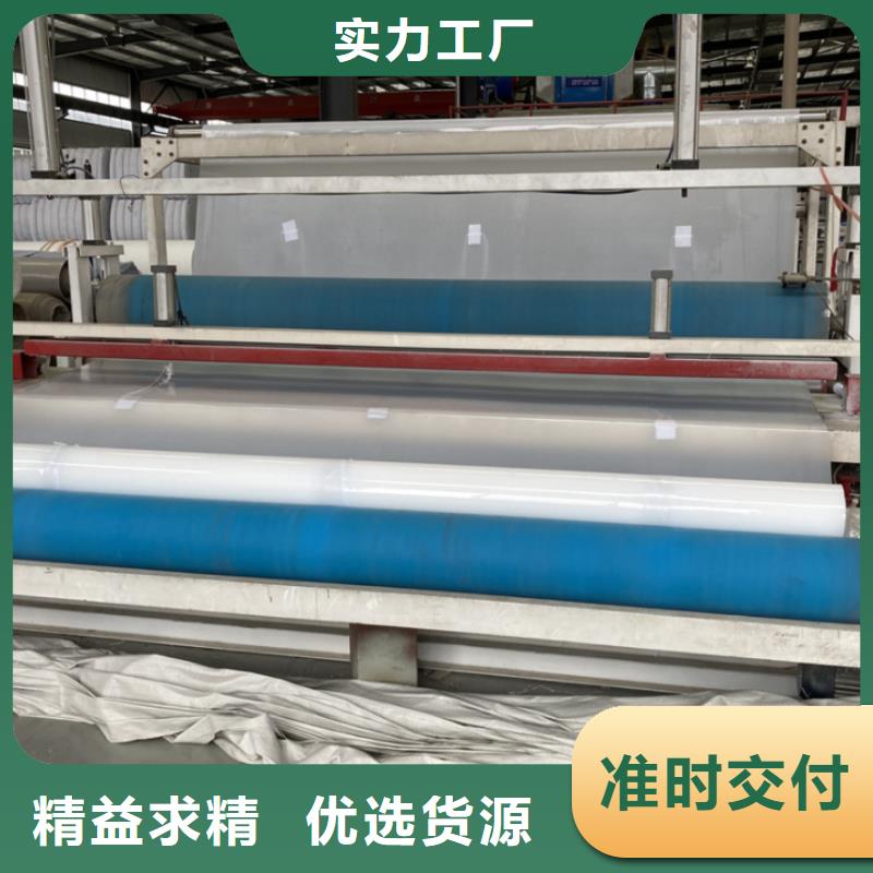 EVA防水板玻璃纤维土工格栅用心经营