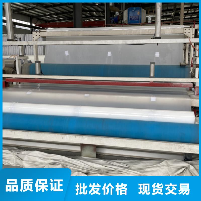 EVA防水板生产厂家