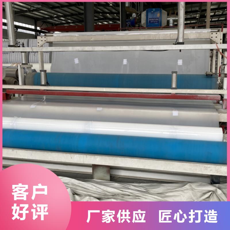 EVA防水板土工席垫直销厂家