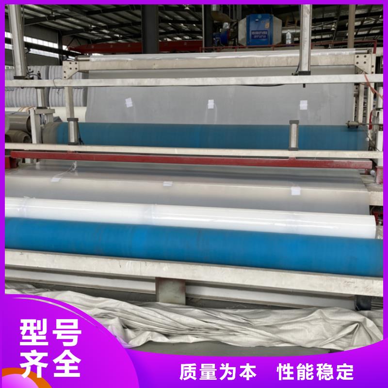 EVA防水板钢塑土工格栅厂家好品质用的放心