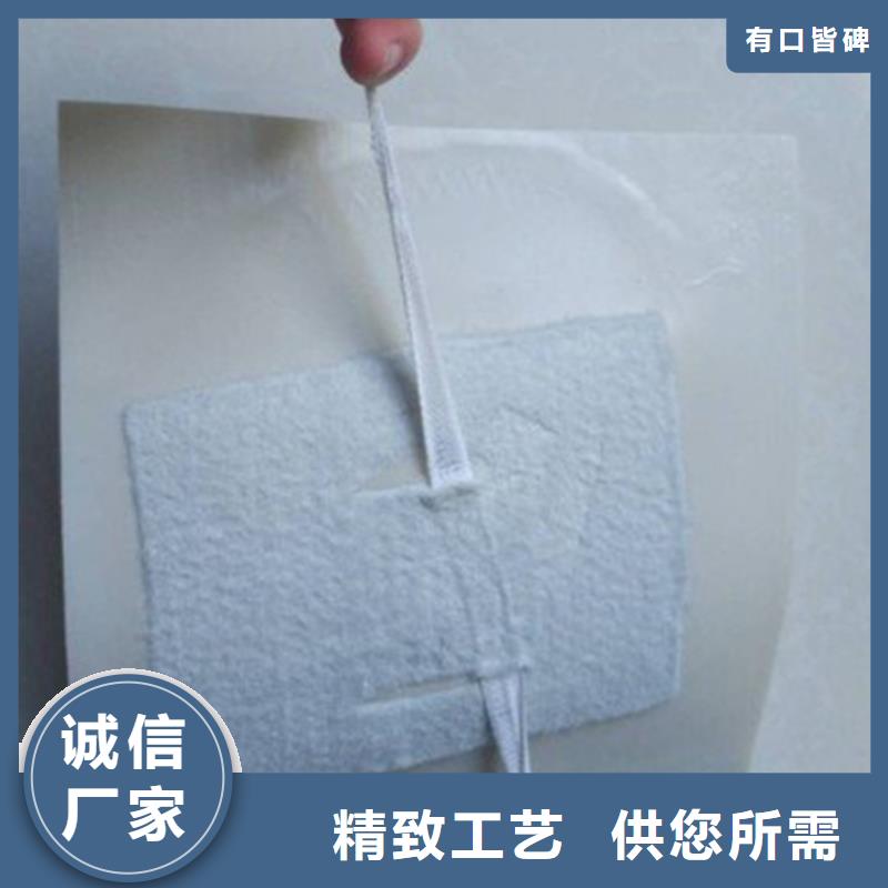 EVA防水板玻纤土工格栅实力商家
