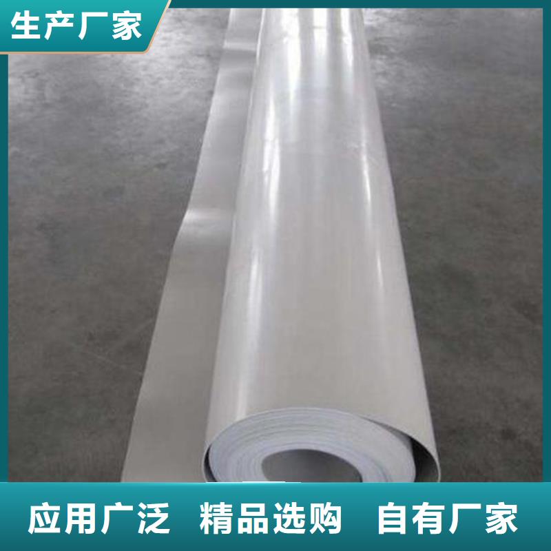 EVA防水板双向塑料土工格栅质优价廉