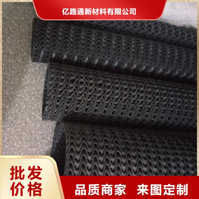 EVA防水板-三维水土保护毯实力厂商