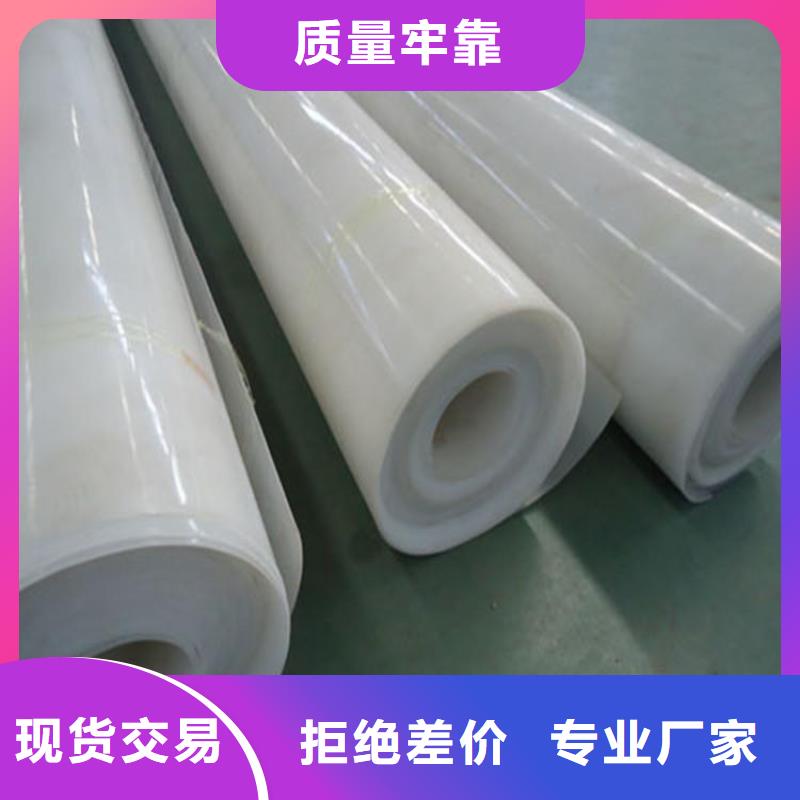 EVA防水板生产厂家