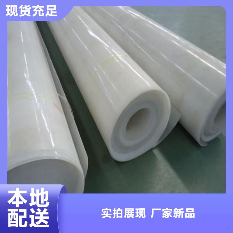EVA防水板玻纤土工格栅老品牌厂家