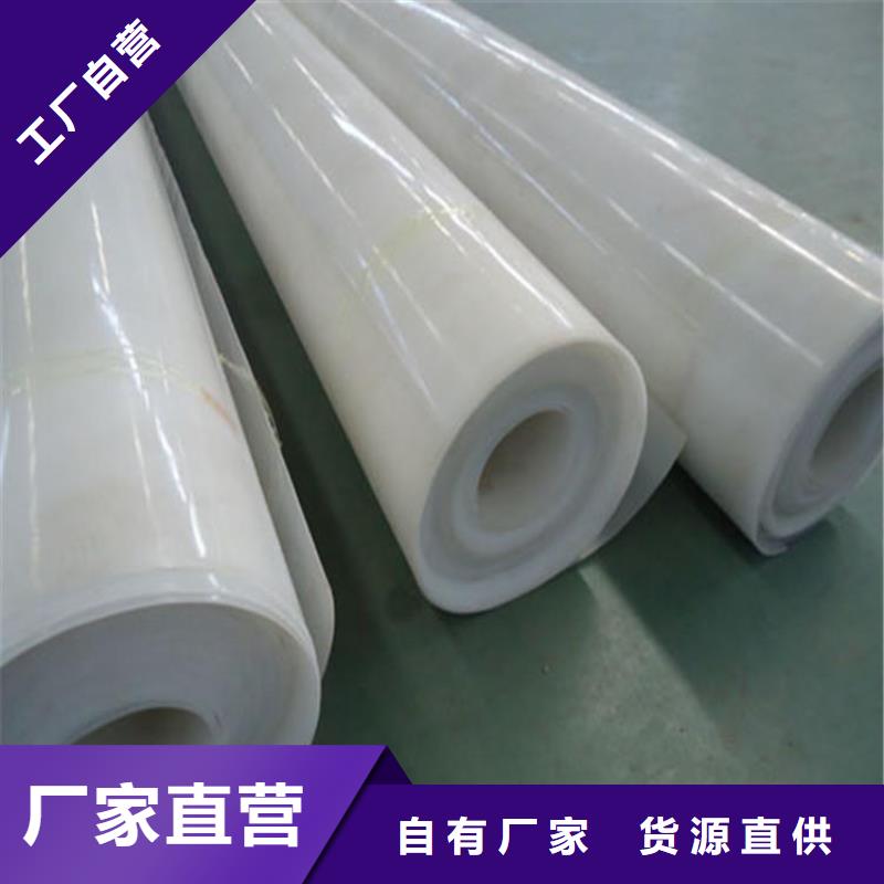 EVA防水板,双向塑料土工格栅实地大厂