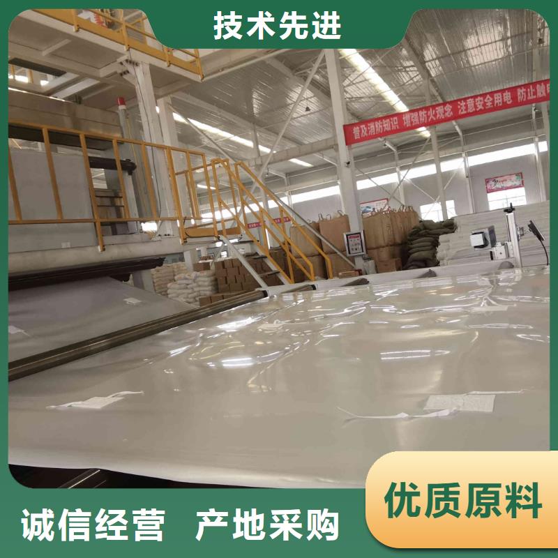 EVA防水板单向塑料土工格栅精选好货