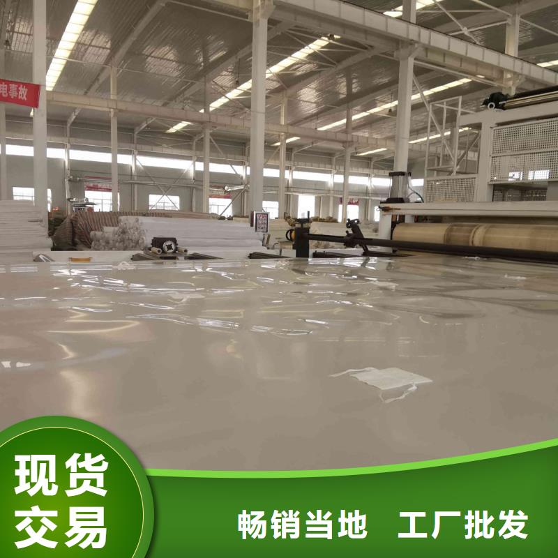 EVA防水板钢塑土工格栅供应商