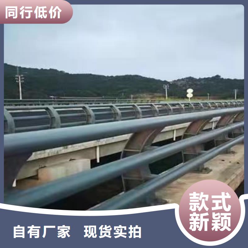 有实力的道路护栏厂家