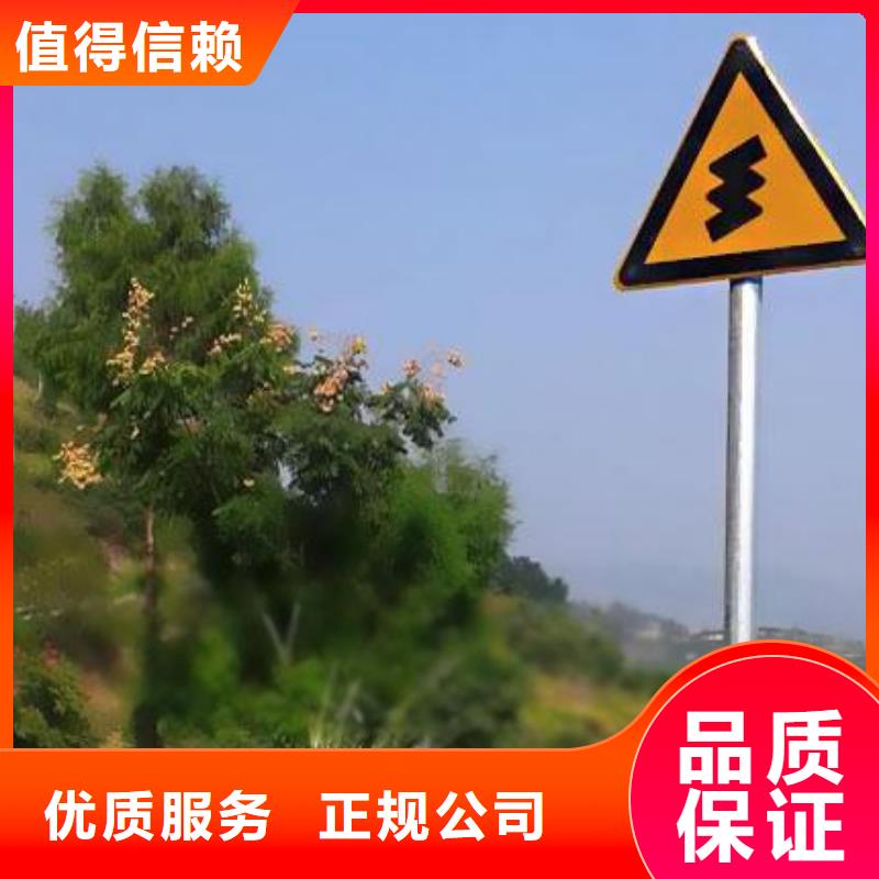 广告安装公司背景板2025公司