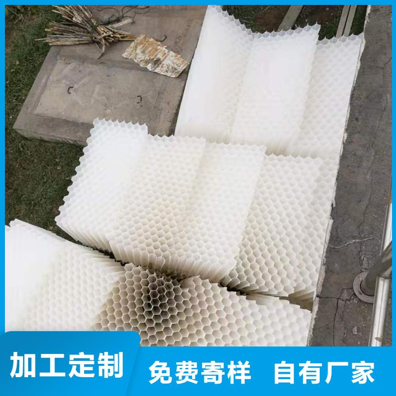 斜管填料果壳活性炭品质做服务