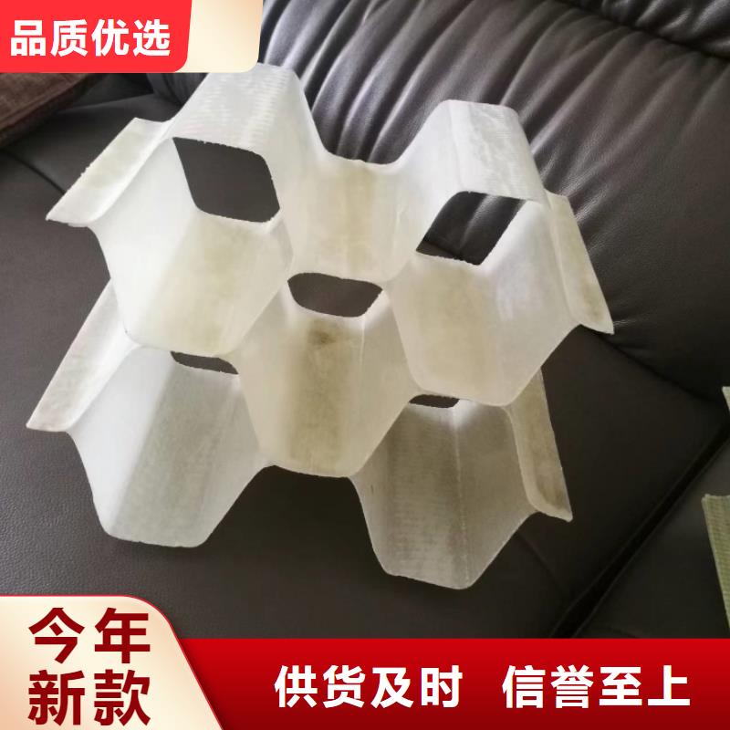 聚丙烯斜管
厂家