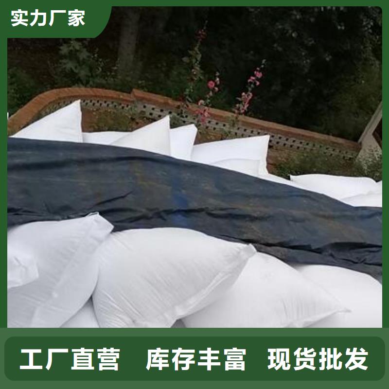 白色球状泡沫滤珠