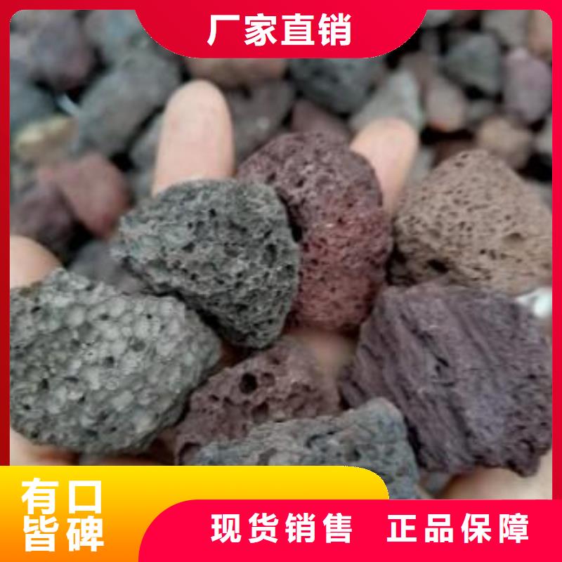 反硝化池用火山岩陶粒厂家直销