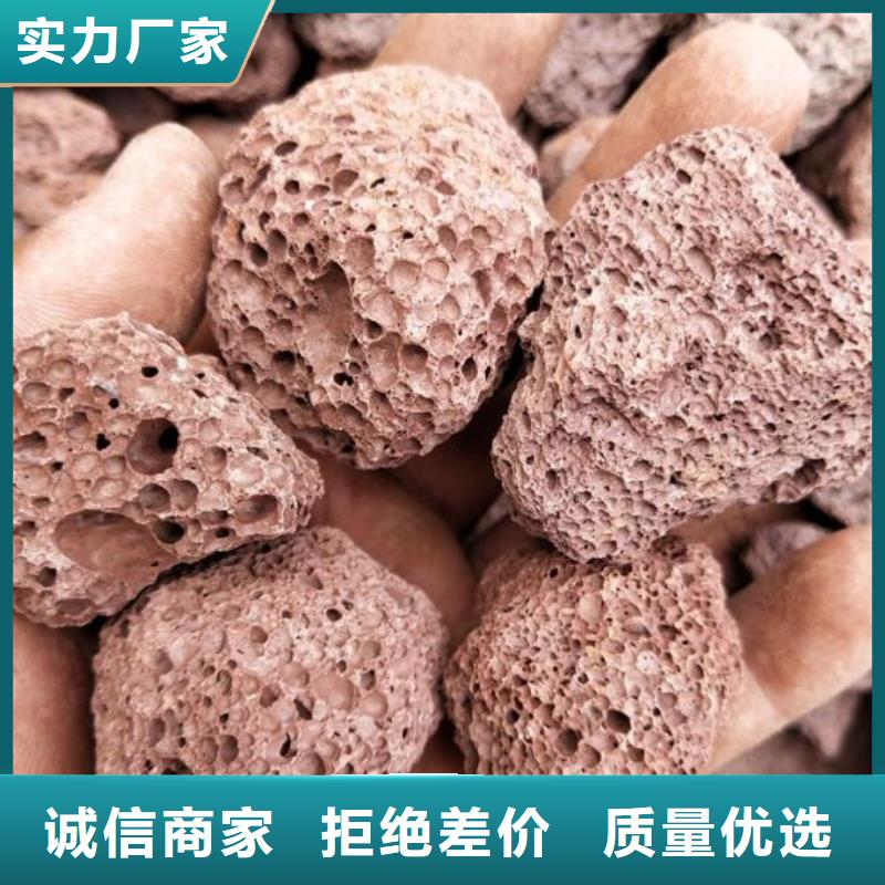生物滤池专用活山岩货源