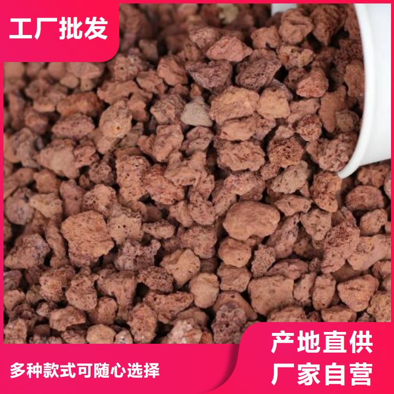 反硝化池用活山岩总代理