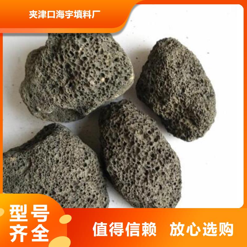湿地用浮石填料免费寄样