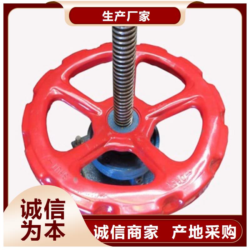  启闭机懂您所需