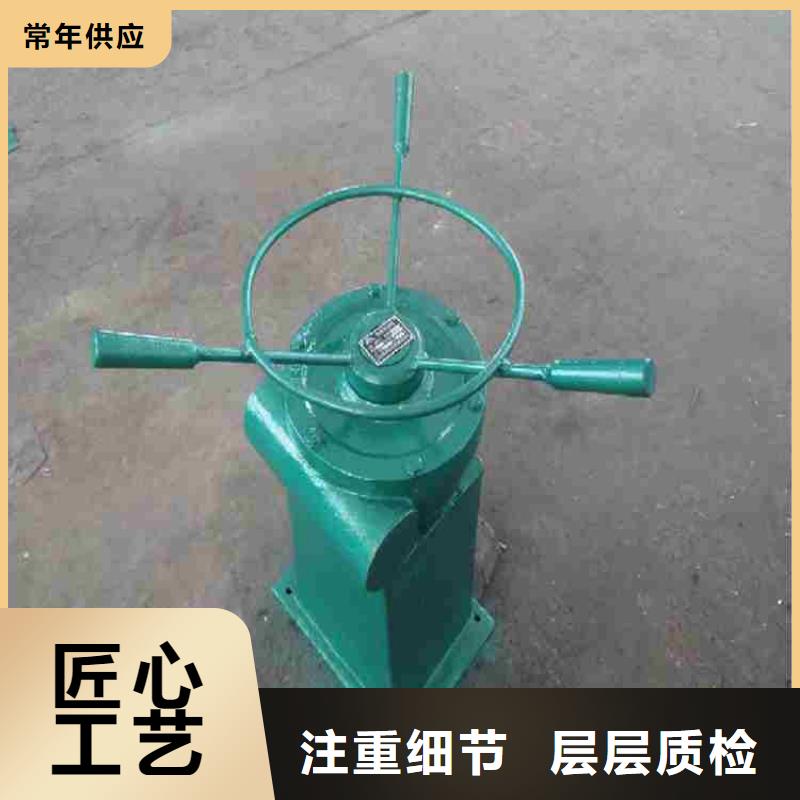 启闭机闸门双吊点螺杆启闭机闸门