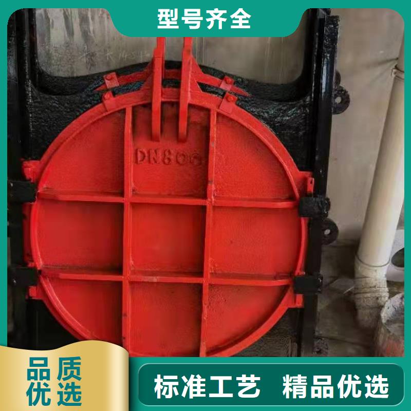 双吊点卷扬启闭机生产厂家